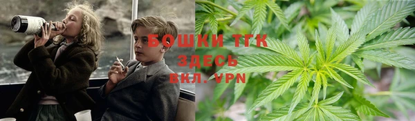 винт Алексеевка