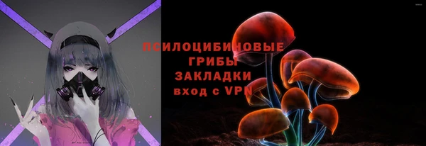 гидропоника Алзамай