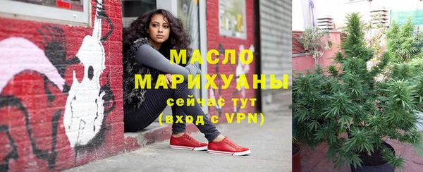 гидропоника Алзамай