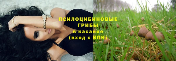 2c-b Алексин
