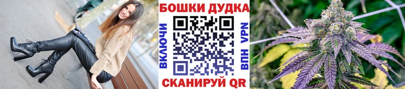 купить   Сосновка  Канабис конопля 